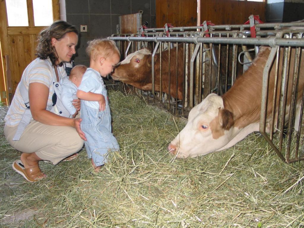 Familienferienhof Stabauer Séjour à la ferme