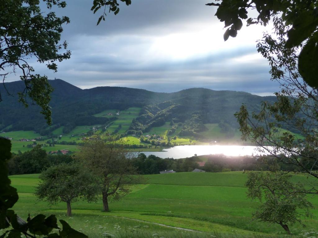 Familienferienhof Stabauer Bauernhof Zell am Moos